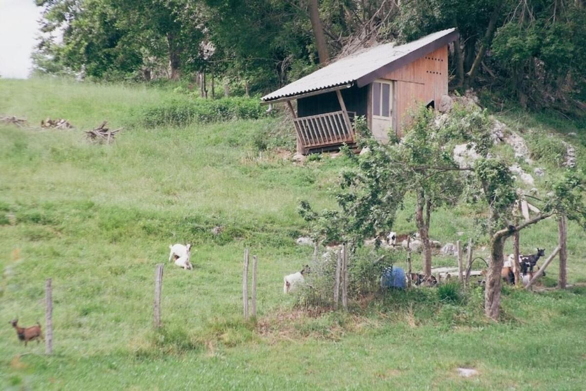 Soca Valley Berghaus Kobarid Dış mekan fotoğraf
